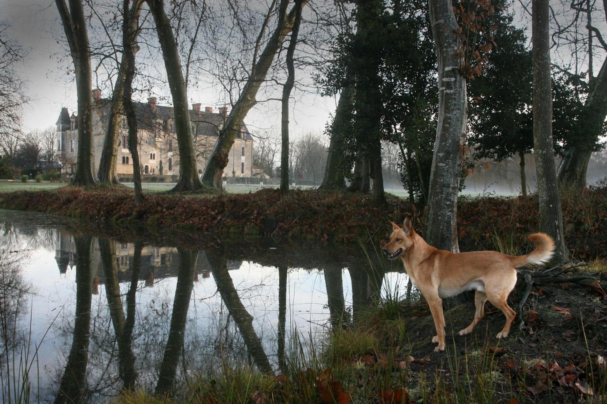 Chateau De La Verie Challans Luaran gambar